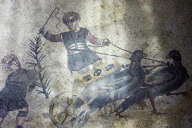 Auriga de pájaros (mosaico)